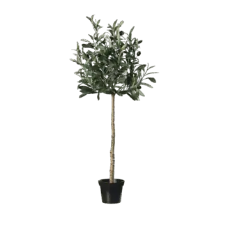Künstlicher Olivenbaum - Merida | 80 cm*