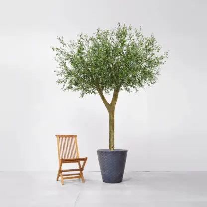 Künstlicher Olivenbaum - Rieke | 300 cm*