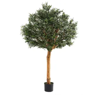 Künstlicher Olivenbaum – Eleutherios | 210 cm*