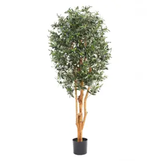 Künstlicher Olivenbaum – Lysandra | 180 cm*