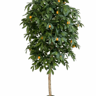 Künstlicher Orangenbaum - Pius | 110 cm*