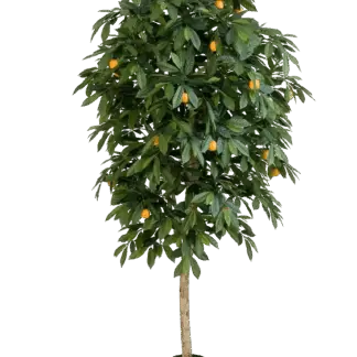 Künstlicher Orangenbaum - Pius | 140 cm*