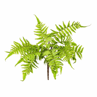 Künstlicher Osmundastrum - Björn | 30 cm*