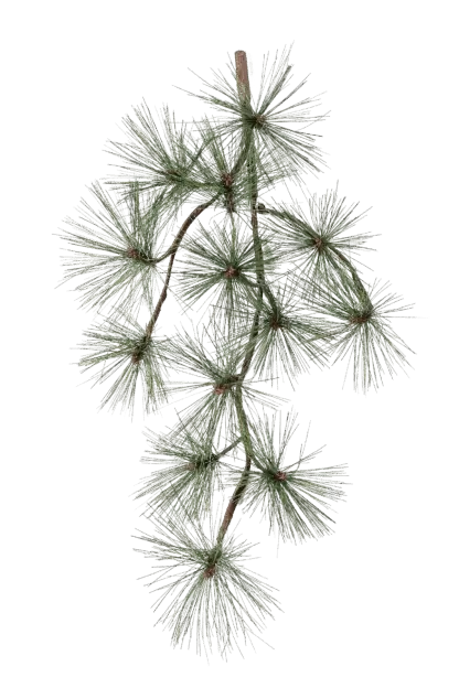 Künstlicher Pinien-Zweig - Fynn | 67 cm*