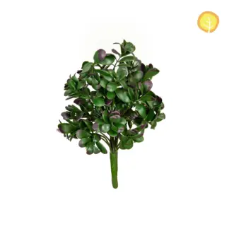 Künstlicher Pittosporum - Marvin | 37 cm*
