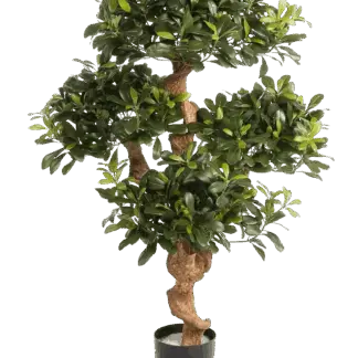 Künstlicher Pittosporum - Pierre | 120 cm*