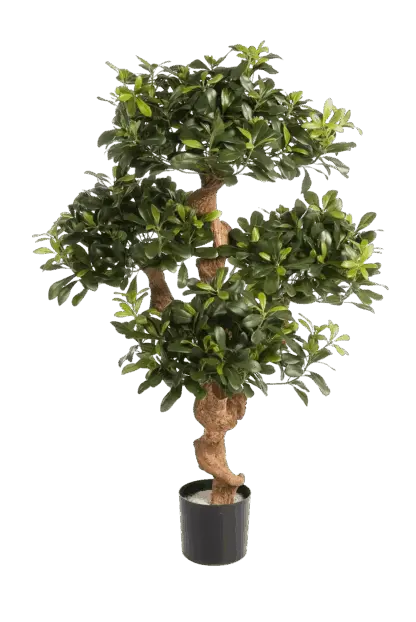 Künstlicher Pittosporum - Pierre | 120 cm*