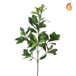 Künstlicher Pittosporum - Regina | 56 cm*