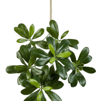 Künstlicher Pittosporum-Zweig- Frederik | 40 cm*