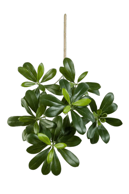 Künstlicher Pittosporum-Zweig - Fritz | 40 cm*