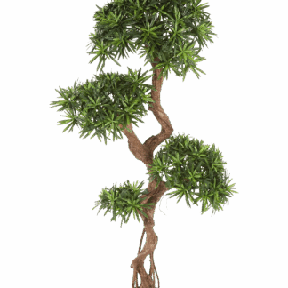 Künstlicher Podocarpus - Patrick | 160 cm*