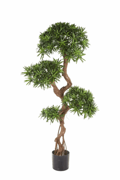 Künstlicher Podocarpus - Patrick | 160 cm*