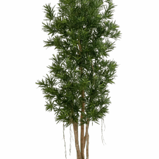 Künstlicher Podocarpus Reflexa- Paul | 180 cm*