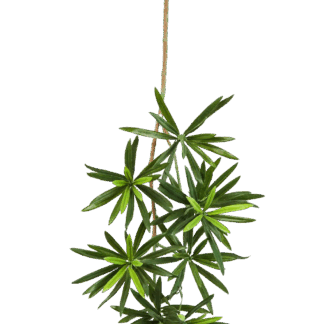 Künstlicher Podocarpus Zweig - Berra | 53 cm*