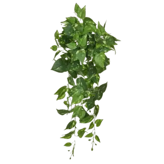 Künstlicher Pothos - Walter | 80 cm*