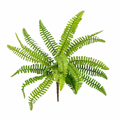 Künstlicher Schwertfarn - Berat | 30 cm*