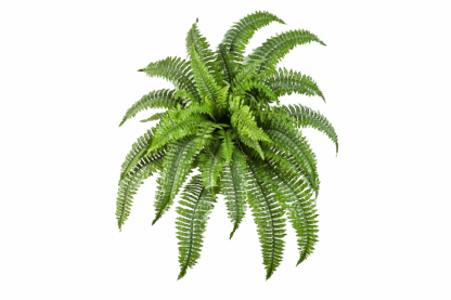 Künstlicher Schwertfarn - Chiara | 75 cm*