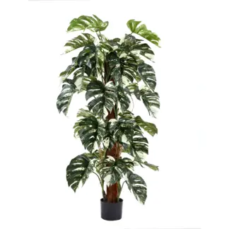 Künstlicher Split-Philodendron – Elowen | 150 cm*