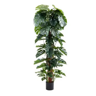 Künstlicher Split-Philodendron – Zephira | 210 cm*