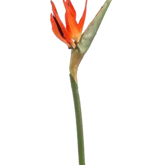 Künstlicher Strelitzia Zweig - Olga | 85 cm*