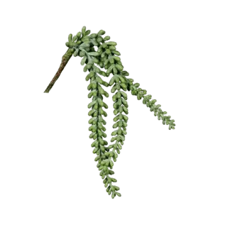 Künstlicher Sukkulenten Hänger - Jannis | 38 cm*
