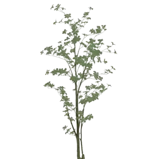 Künstlicher Trapaeolum Baum - Cleo | 185 cm*