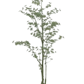 Künstlicher Trapaeolum Baum - Graziella | 210 cm*
