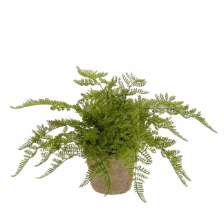 Künstlicher Waldfarn - Korbinian | 30 cm*