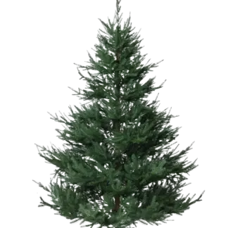 Künstlicher Weihnachtsbaum - Balthasar | 210 cm*