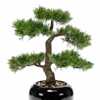 Künstlicher Zeder Bonsai - Miyu | 32 cm*