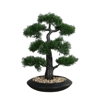Künstlicher Zedern-Bonsai - Roy | 44 cm | in schwarzer Schale*