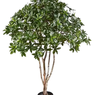 Künstlicher japanischer Spindelstrauch - Wanda | 120 cm*