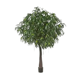 Künstlicher langblättriger Ficus - Johannes | 270 cm*