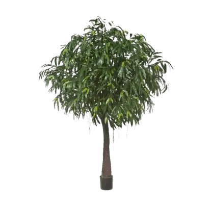 Künstlicher langblättriger Ficus - Johannes | 270 cm*