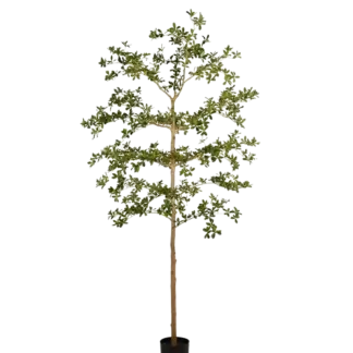 Künstlicher schwarzer Olivenbaum - Finja | 210 cm*