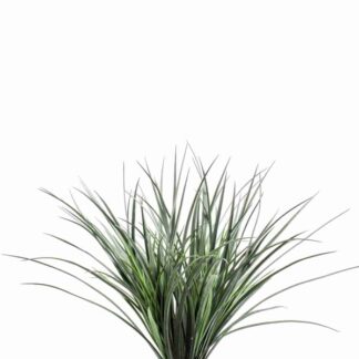 Künstliches Gras | 50x20cm*