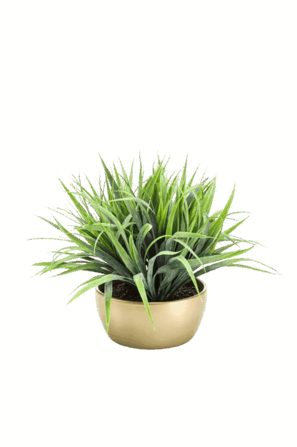 Künstliches Gras - Gianna | 33 cm*