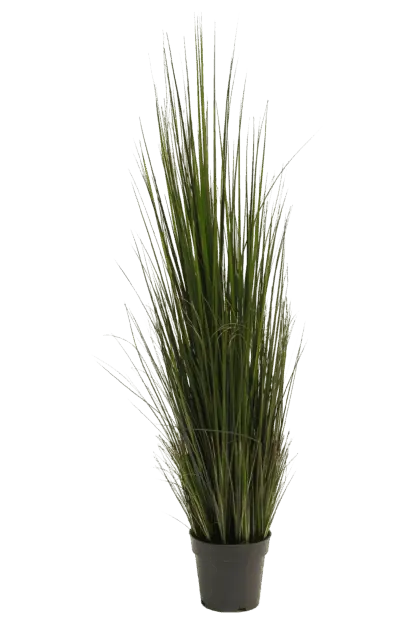 Künstliches Gras - Hanno | 120 cm*