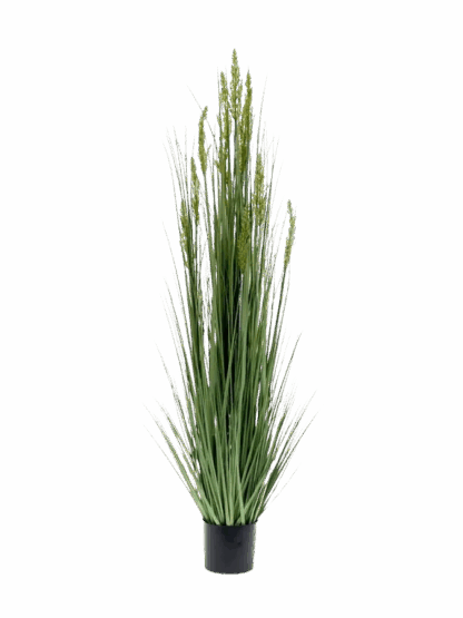 Künstliches Gras - Henrik | 150 cm*