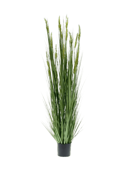 Künstliches Gras - Henrik | 185 cm*