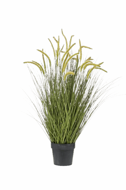 Künstliches Gras - Jonna | 100 cm*