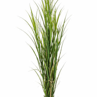 Künstliches Gras - Kerem | 165 cm*