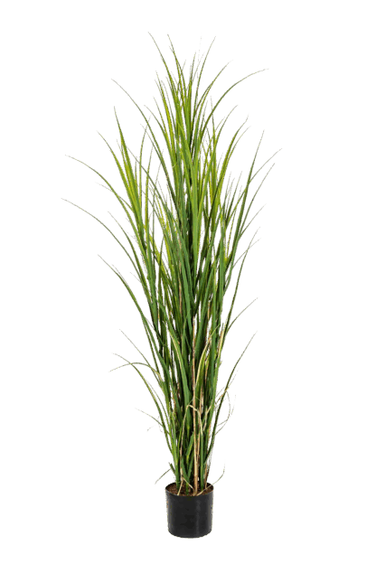 Künstliches Gras - Kerem | 165 cm*