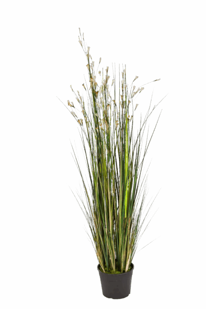 Künstliches Gras - Koralle | 120 cm*
