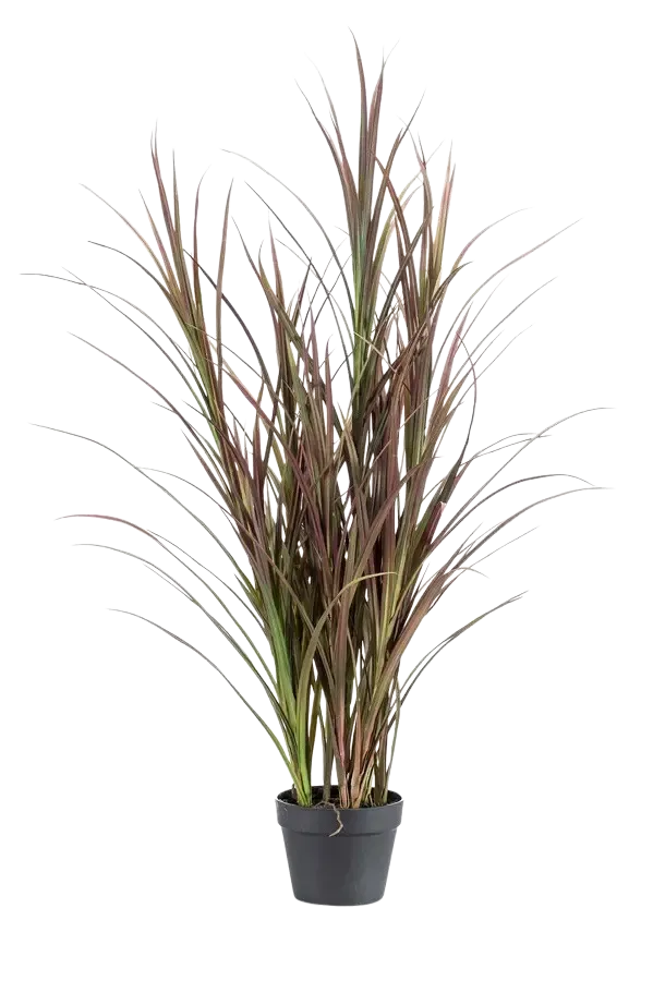 Künstliches Gras - Kuzey | 115 cm*