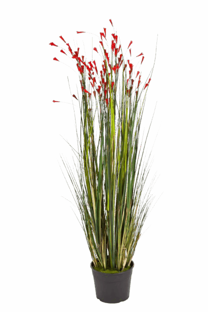 Künstliches Gras - Marta | 120 cm*