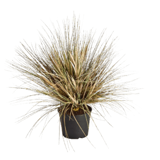 Künstliches Gras - Mathilda | 65 cm*