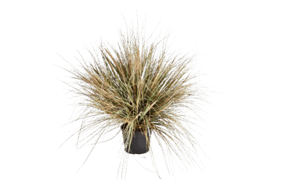 Künstliches Gras - Mathilda | 70 cm*