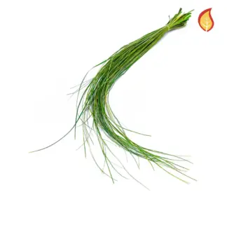 Künstliches Gras - Niels | 65 cm*