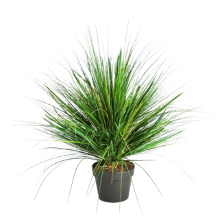 Künstliches Gras - Onion | 50 cm*